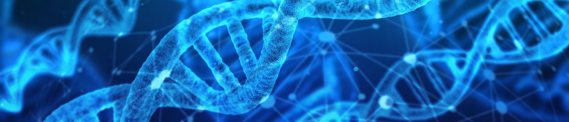 Image of DNA strands Genetics & the Origin of Autism