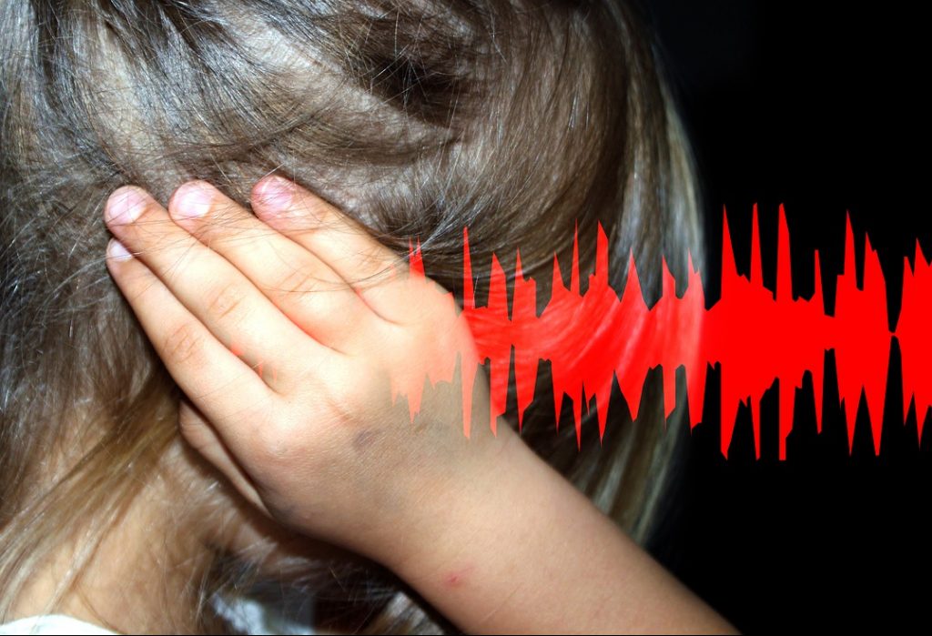 Noise sensitivity in autistic 