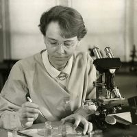 Image of Barbara McClintock by a microscope and petri dish